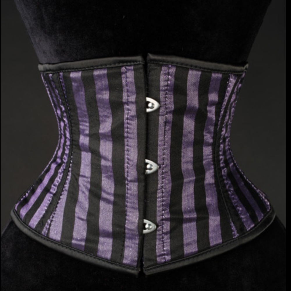 COPY - Purple Striped Waist Cincher/Corset